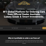 №1 Global Platform for Ordering Cars from Official Dealer Auctions. Luxury Goods & Smart Investments. (f1rst-group.org reviews)