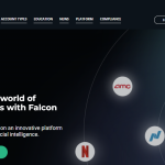 FALCON INVEST REVIEW