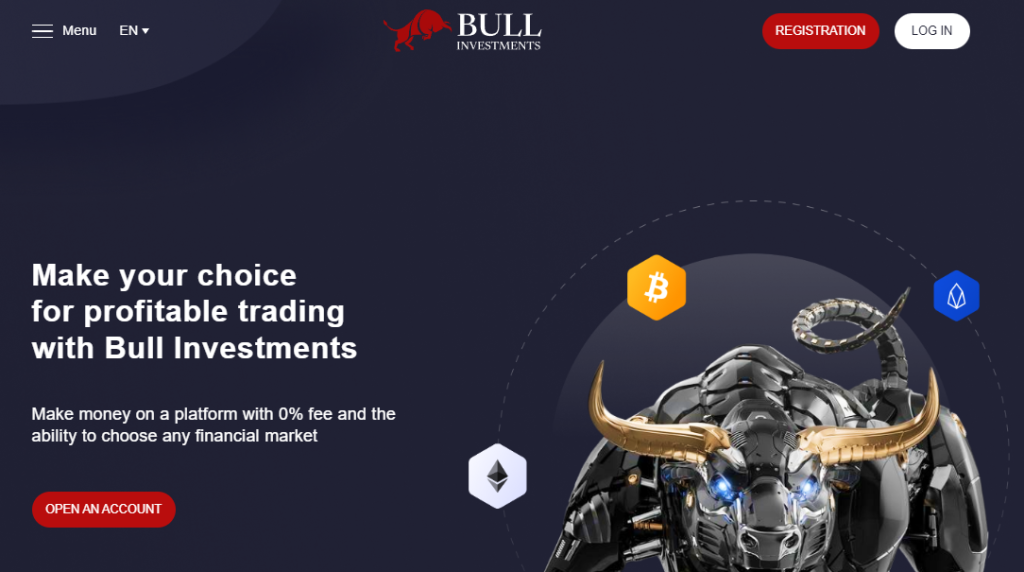 BULL INVESTMENTS REVIEW