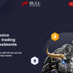 BULL INVESTMENTS REVIEW